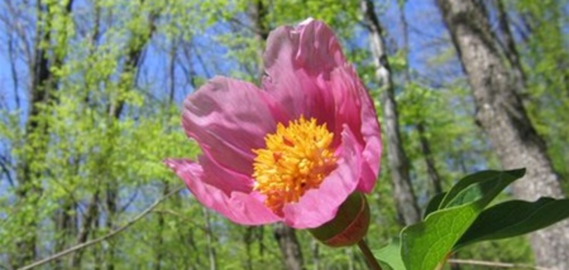 На майские праздники будет солнечно и жарко