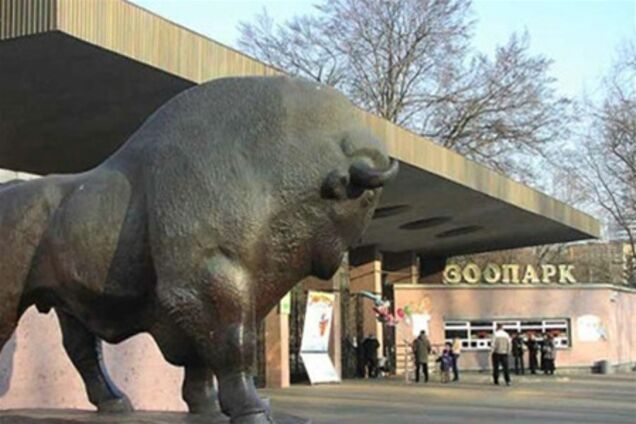 Нападение тигра на сотрудника зоопарка: в прокуратуре нашли виновного