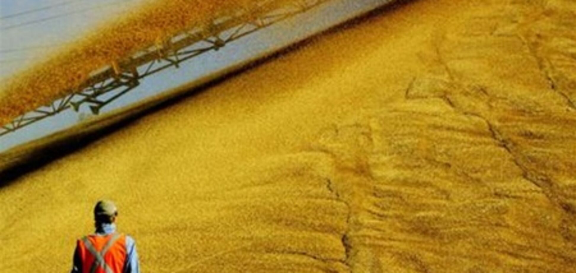 Наши аграрии проиграют европейцам и россиянам