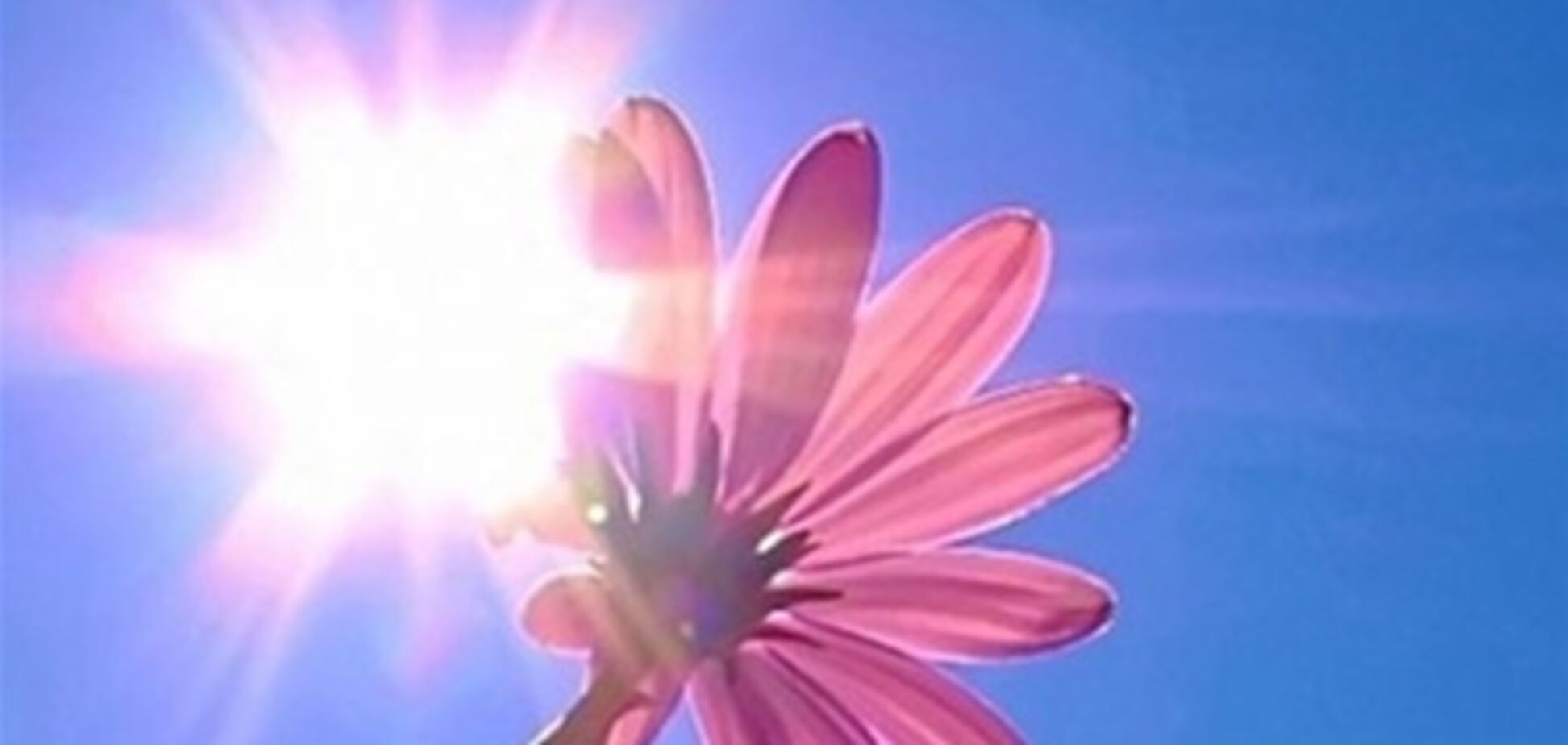 Сегодня в Украине солнечно и жарко