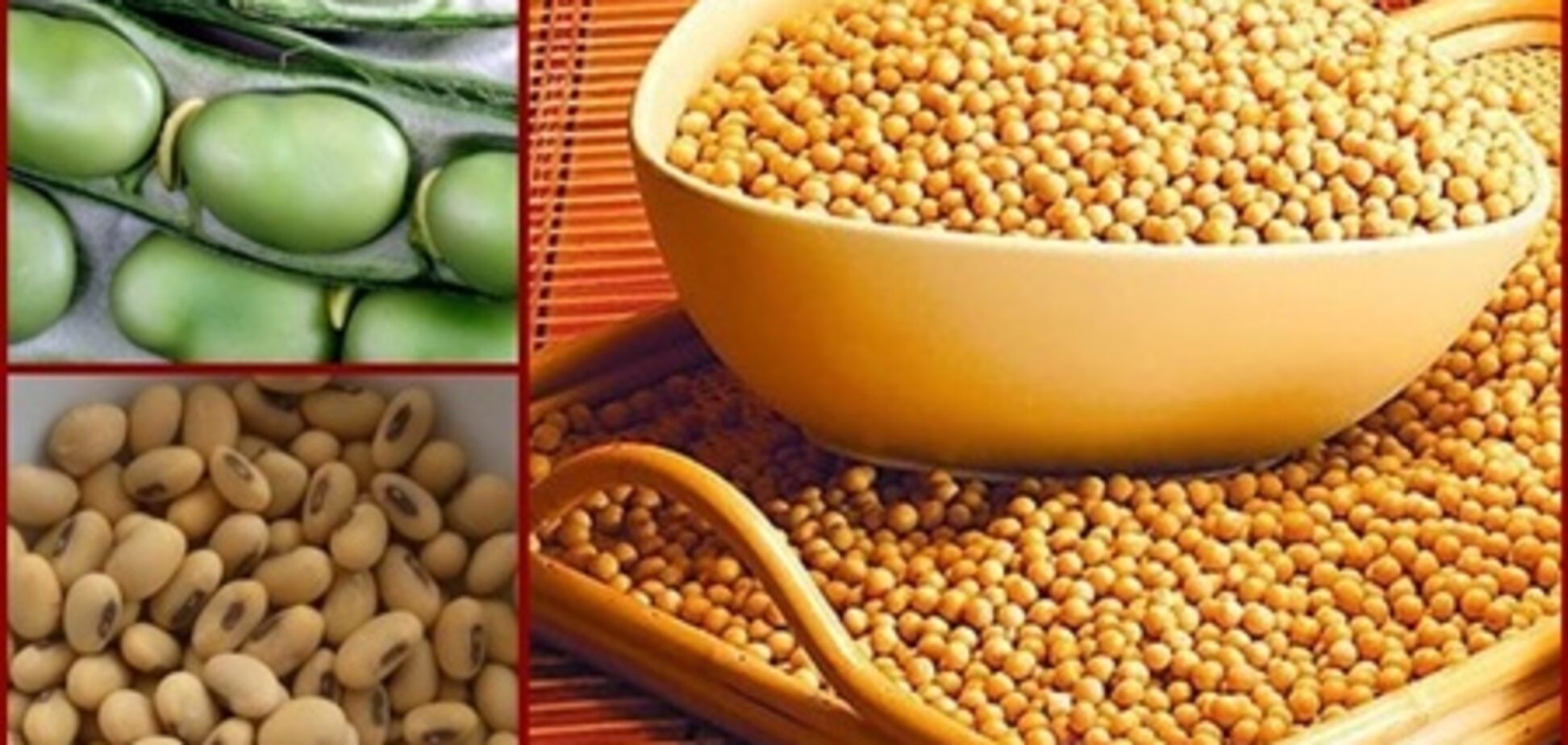 Украина: есть ли предел росту цен на сою