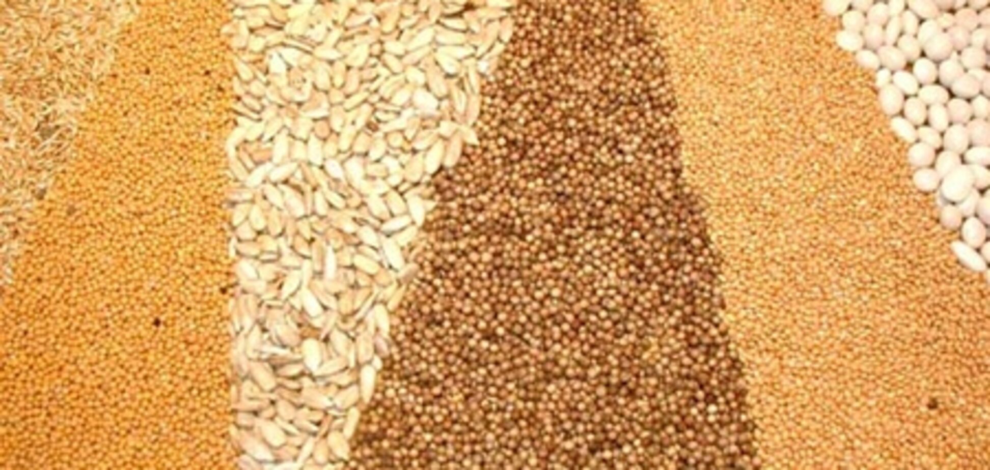 СНГ поставят производство сельхозпродукции на учет