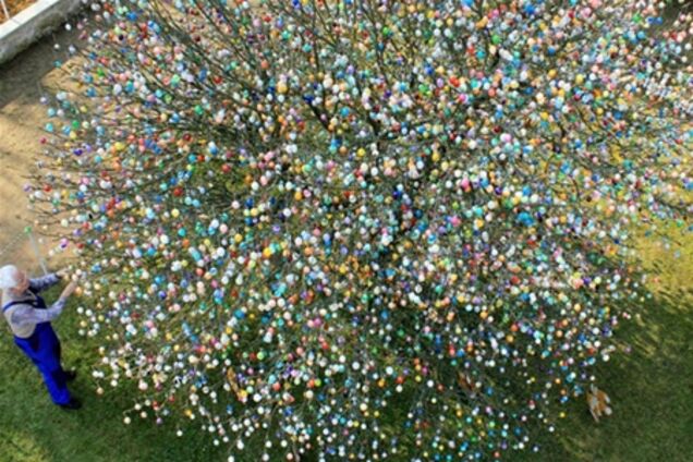 Немец украсил яблоню 10 тысячами крашанок. Фото