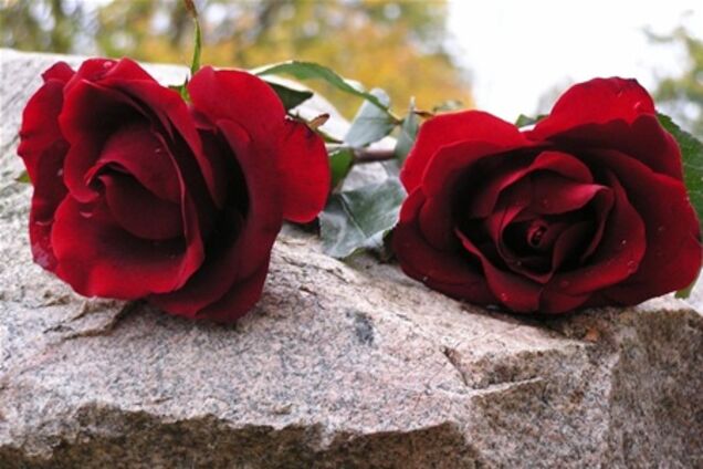 Депутат Литвина умер в бассейне