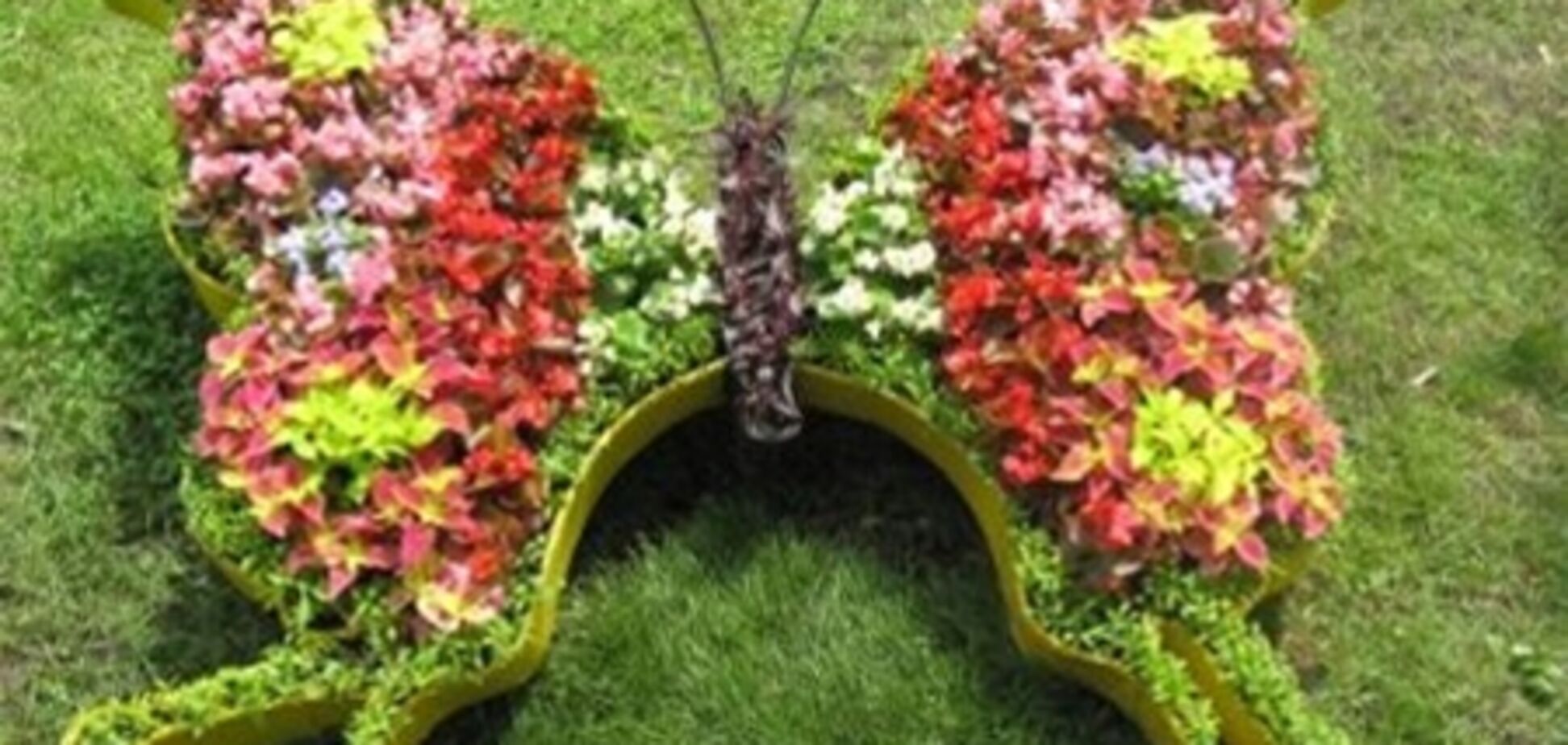 К Евро2012 Киев украсят множеством цветов