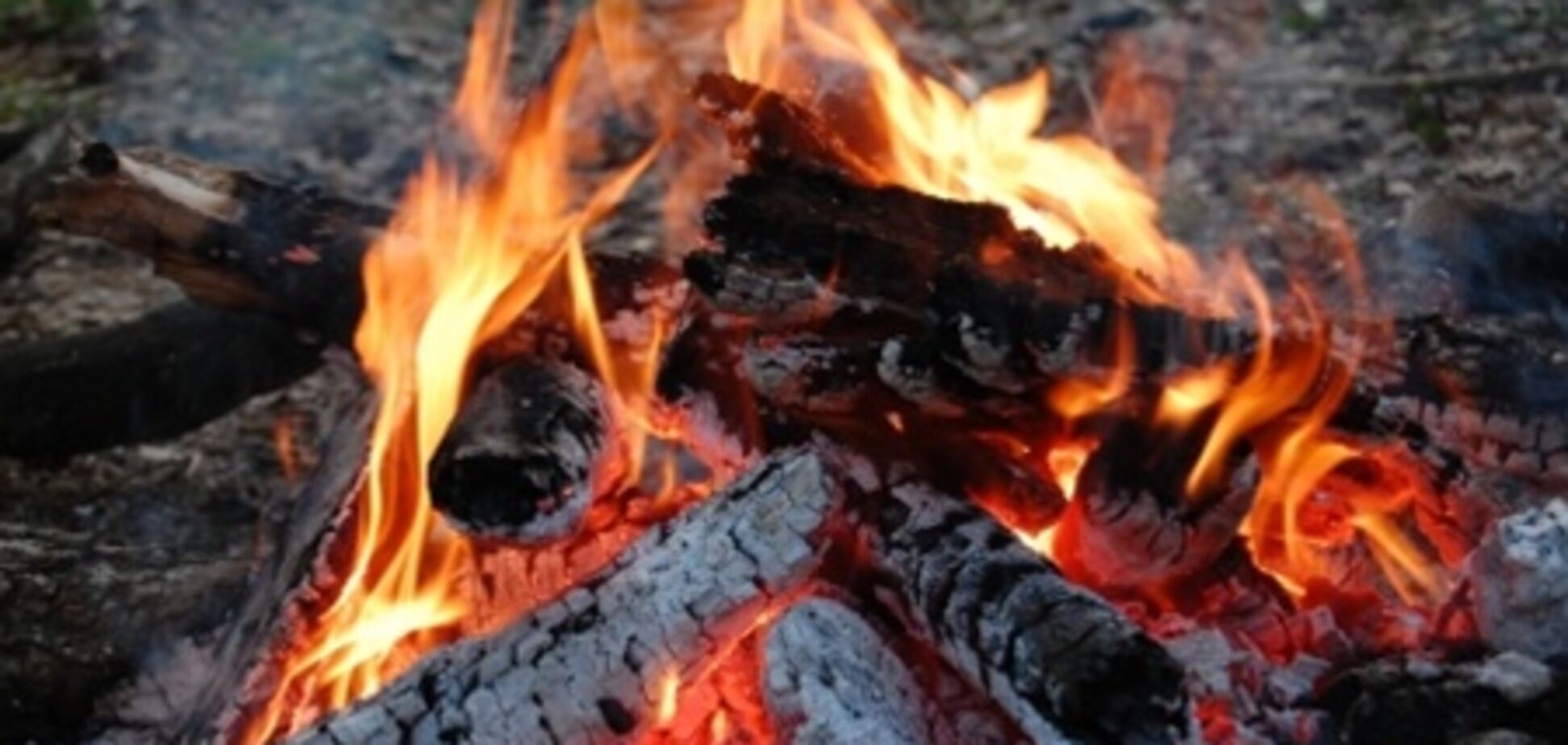 Вокруг Киева запрещено разводить костры