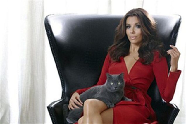 Ева Лонгория рекламирует кошачий корм. Фото. Видео