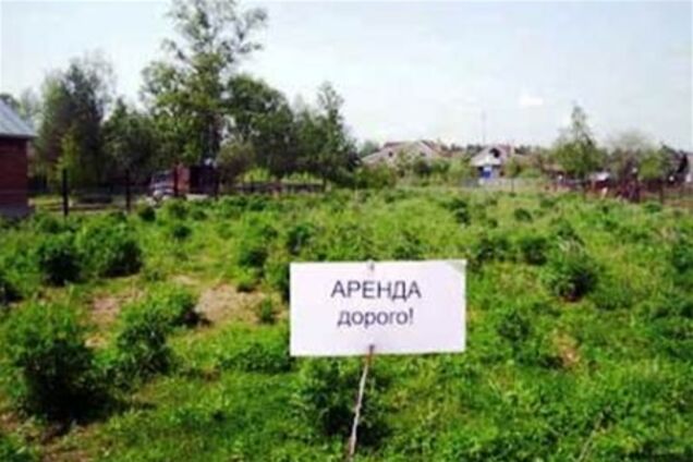 Украинцы заработали 7,6 млрд грн на аренде земли