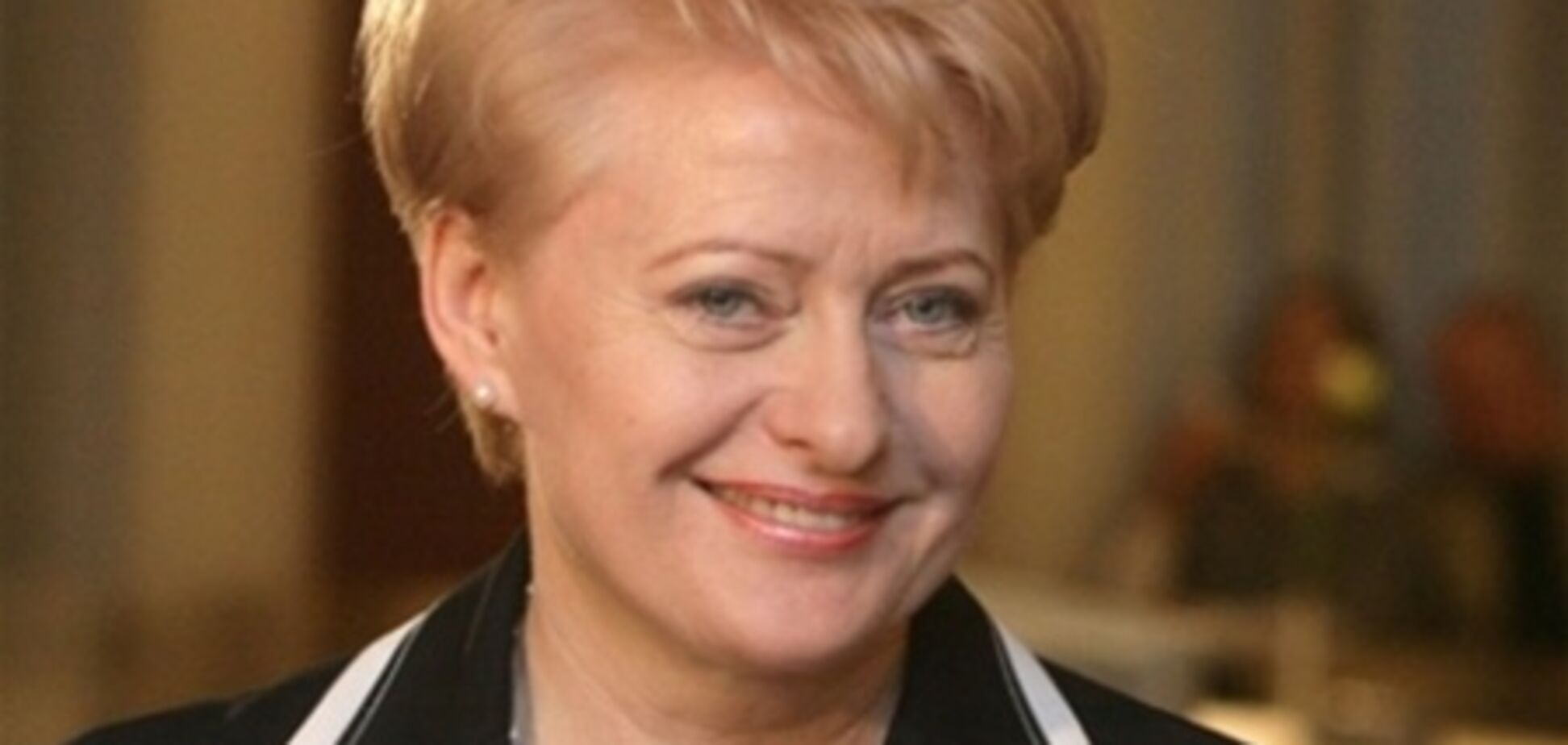 Грибаускайте обсудила с Януковичем евроинтеграцию Украины