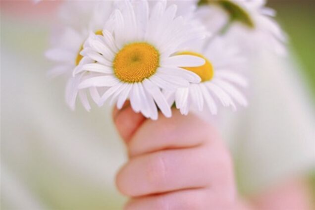 Лучшие поздравления маме. Видео