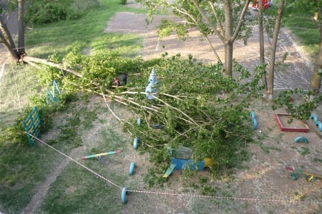 В Николаеве на детскую площадку упало дерево: четверо пострадавших