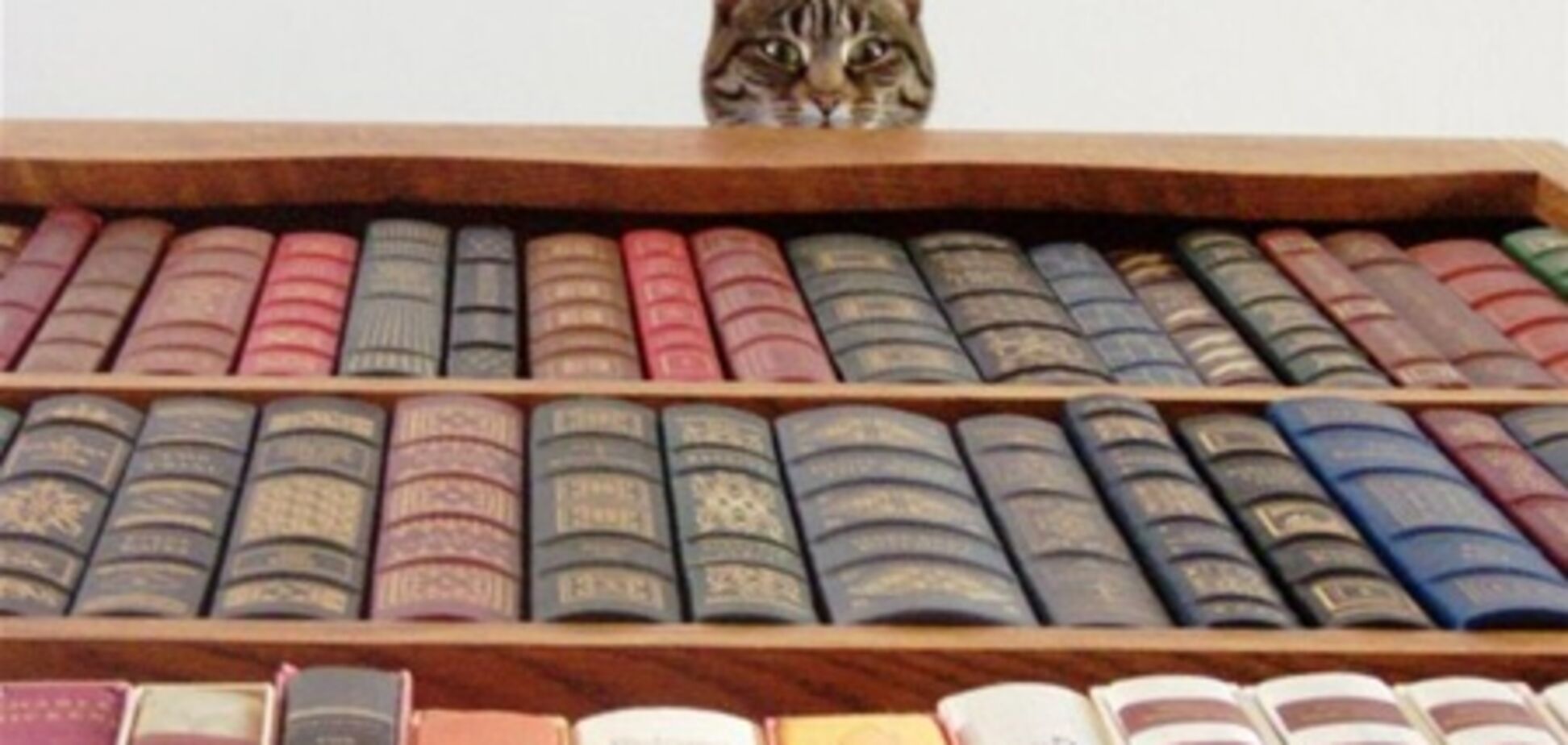 Sapronau: ТОП-10 найбільш читаних книг у світі