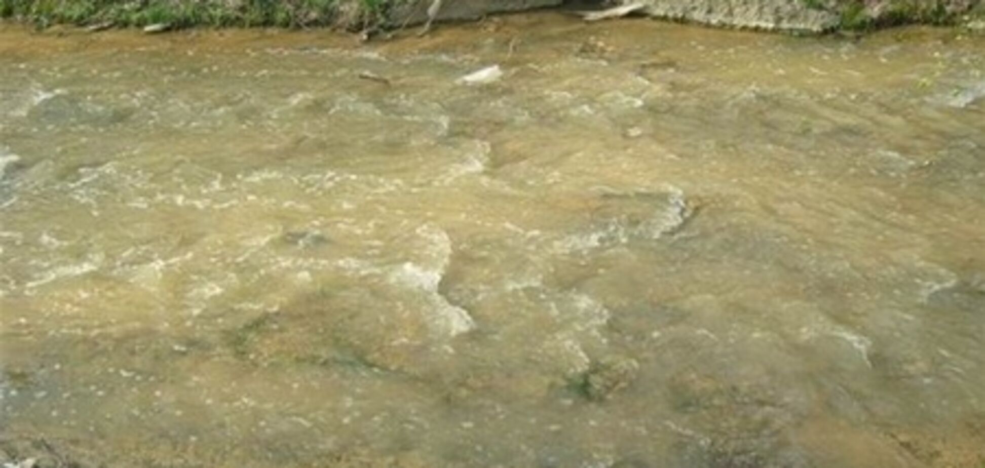 НП під Одесою: близько 100 тонн фекалій потрапили в річку