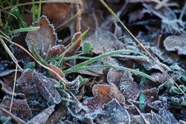 Восток Украины слегка подморозит