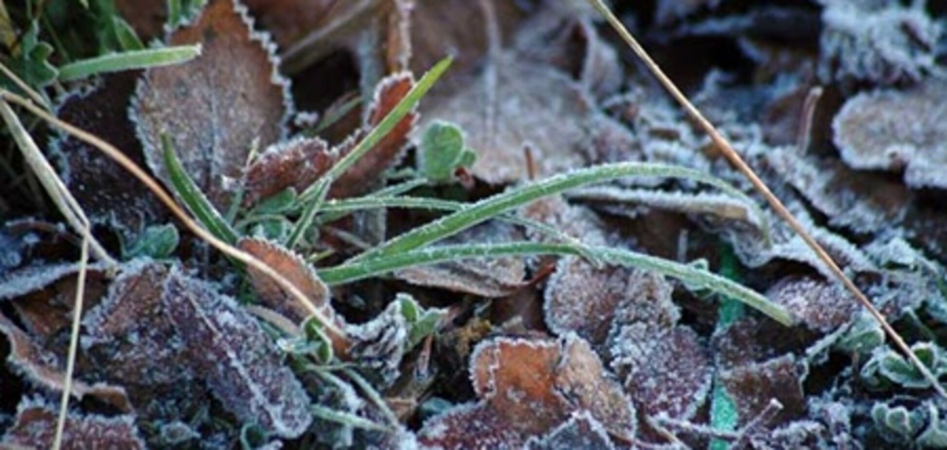 Восток Украины слегка подморозит