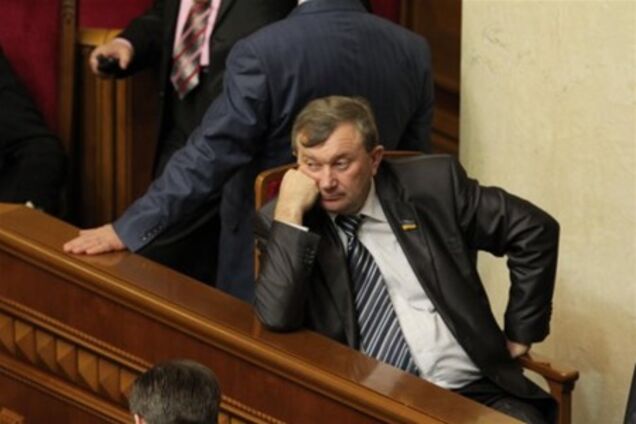 Блокирование Рады не повлияет на законотворчество - Мартынюк