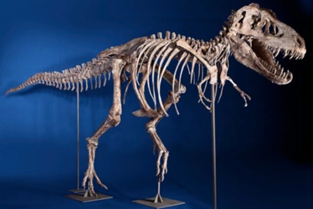 У Нью-Йорку за $ 1 млн продали динозавра з Монголії