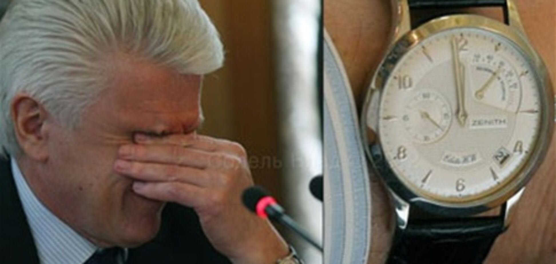 Литвин и Томенко 'сверкнули' часиками за несколько тысяч