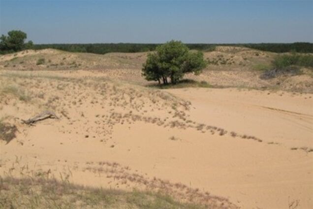 Херсонщина превращается в пустыню из-за небывалой засухи