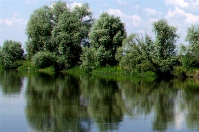 У Чернігівській області шукають чоловіка, який тонув в автомобілі