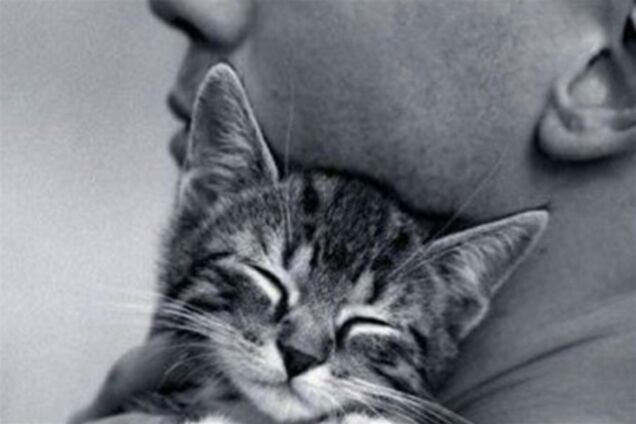 Одиноким лучше жить с кошками - исследование