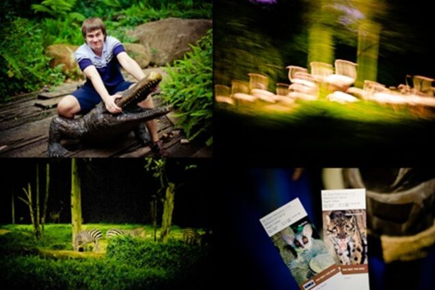 Ночное сафари Сингапура празднует 18-летие