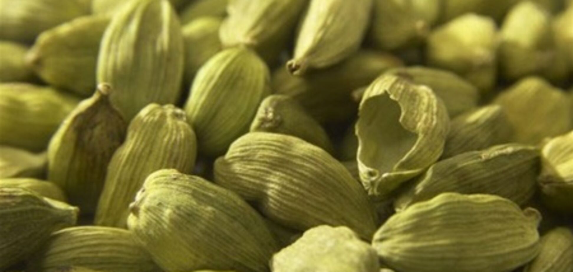 Названа лучшая жиросжигающая специя