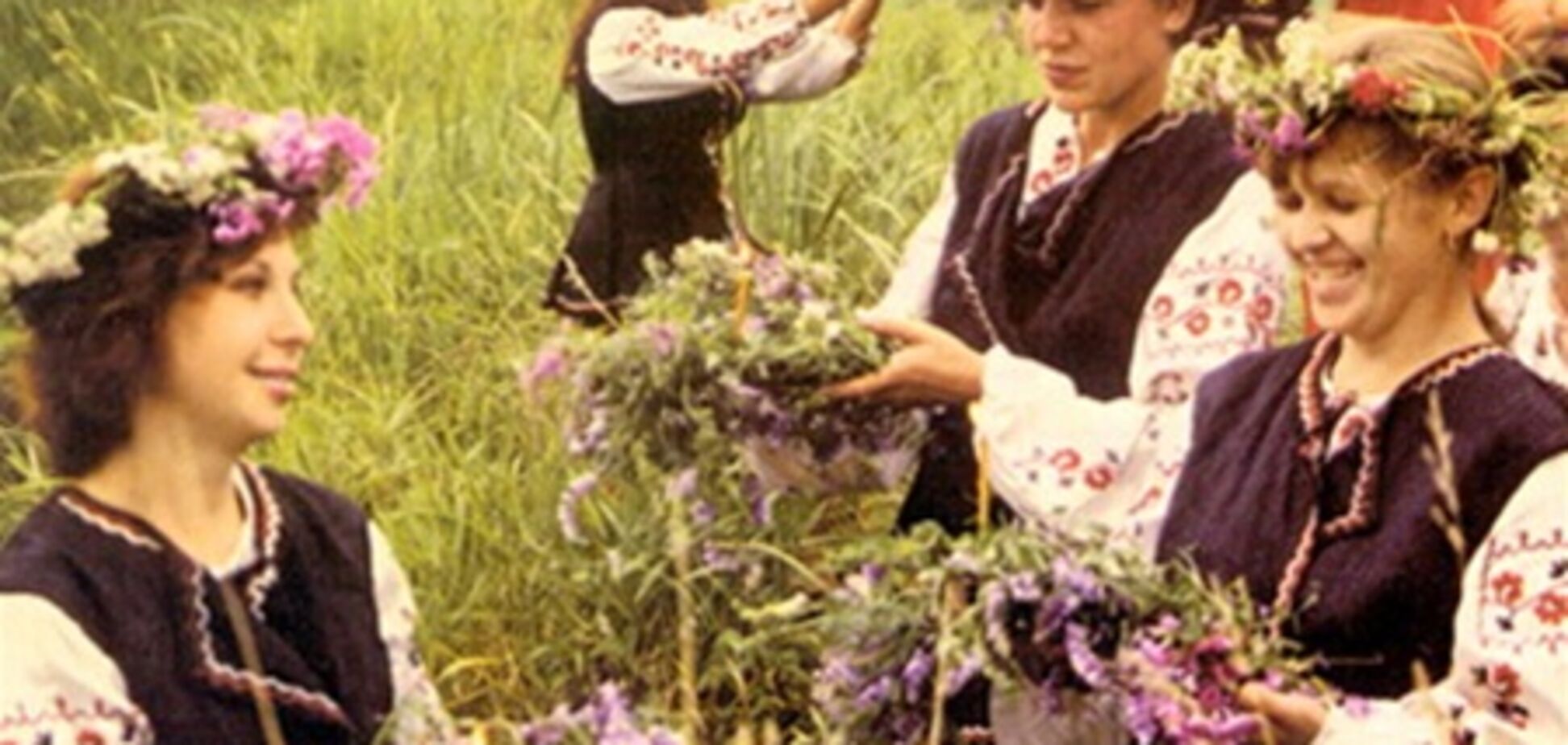 Трійця: свято вкраденого зілля