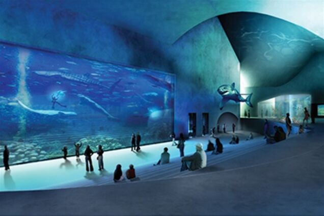 В Копенгагене откроется крупнейший в Северной Европе аквариум