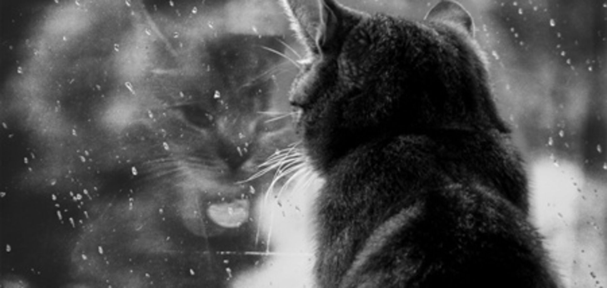 Запад и север Украины немного подмочит