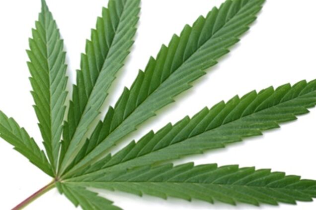 В Рио-де-Жанейро требуют легализовать марихуану