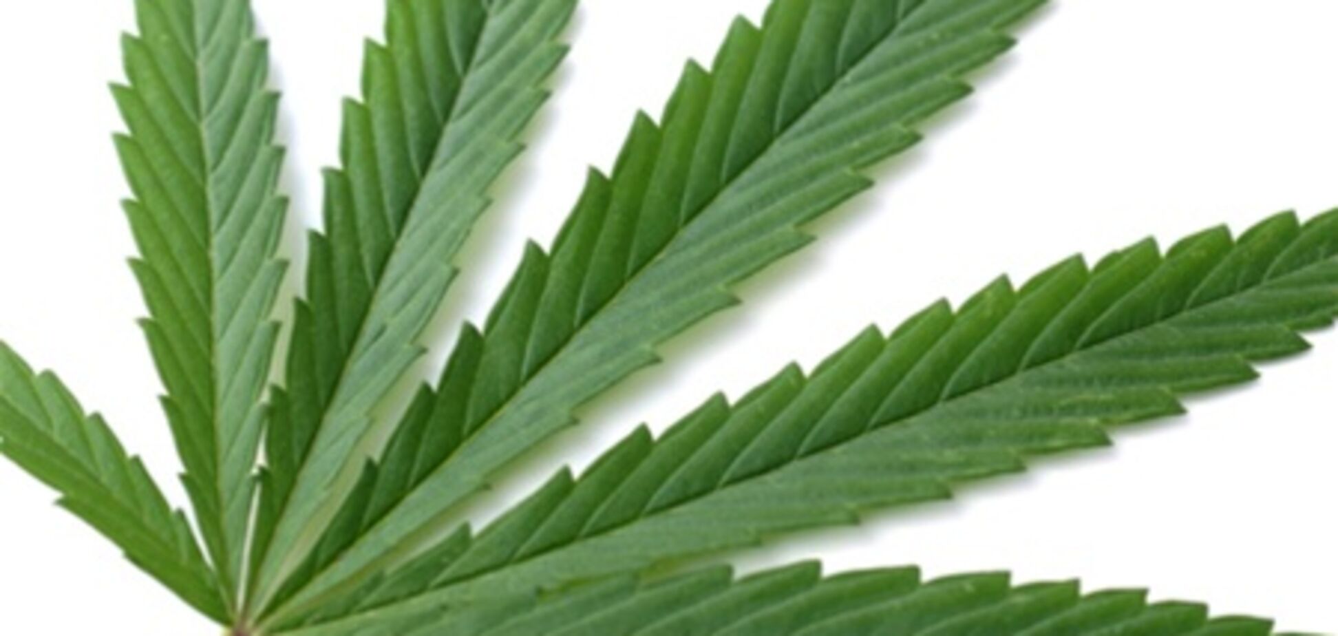 В Рио-де-Жанейро требуют легализовать марихуану