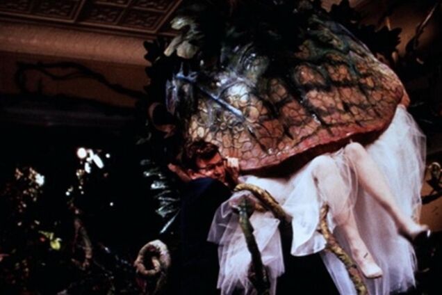 Гордон-Левитт отправится в «Маленький магазинчик ужасов»