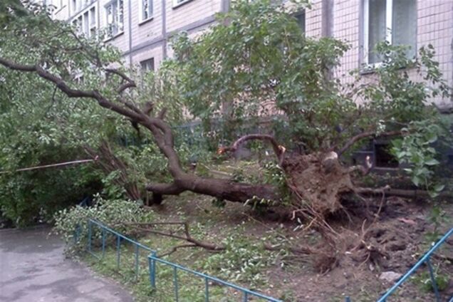 Ураганное киевское лето