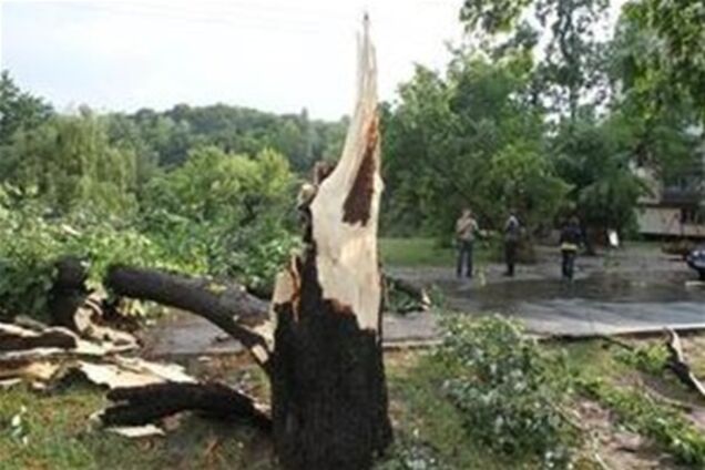 Очевидцы бури на Черниговщине: дождь шел горизонтально