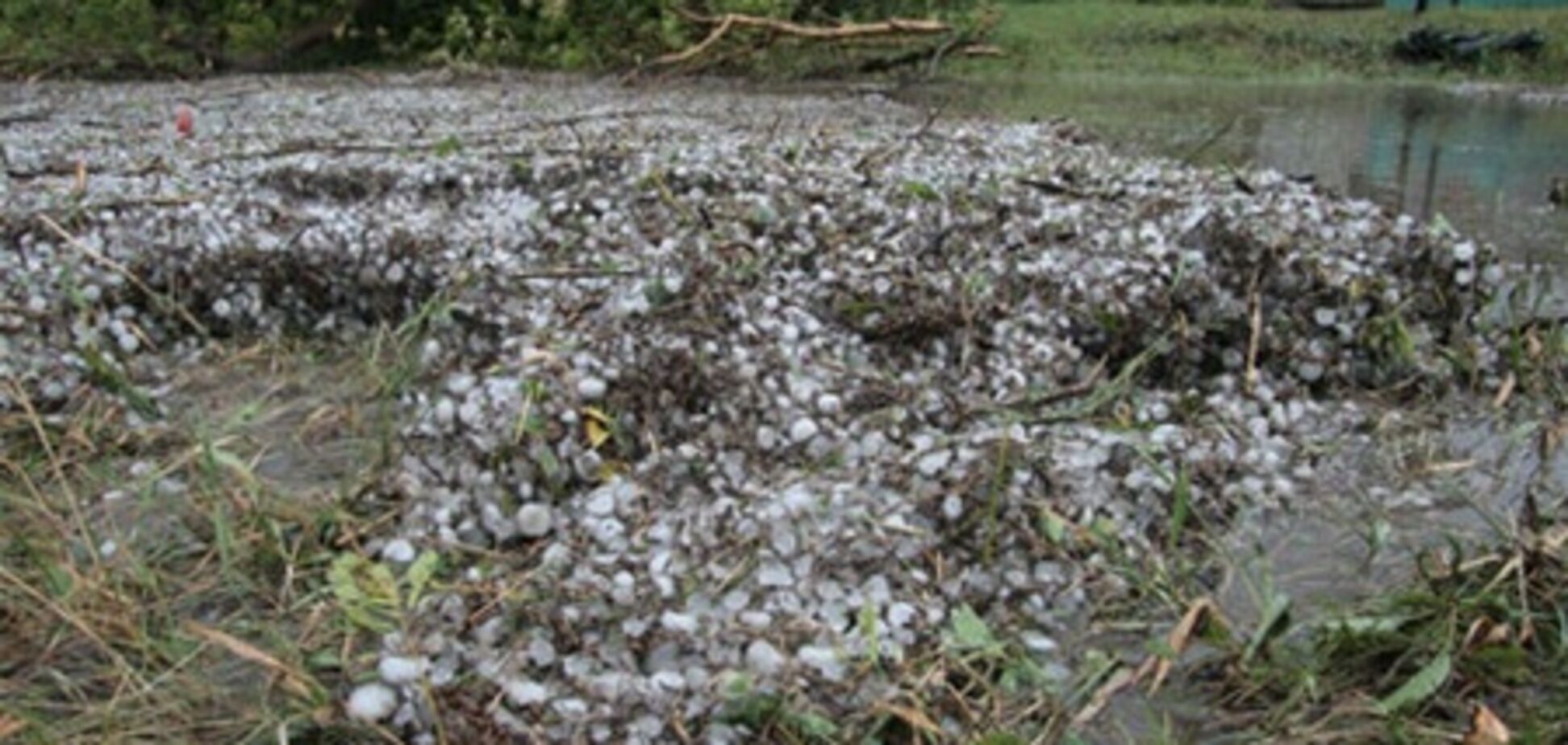 Ураган обесточил шесть населенных пунктов Полтавщины