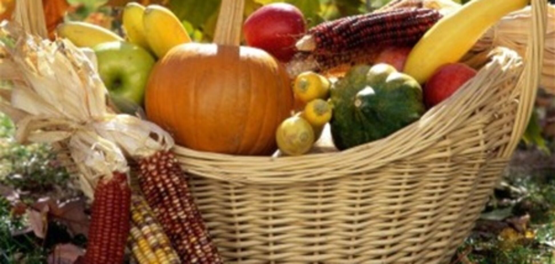 В Украине ожидается хороший урожай кукурузы, гречихи, свеклы - эксперт