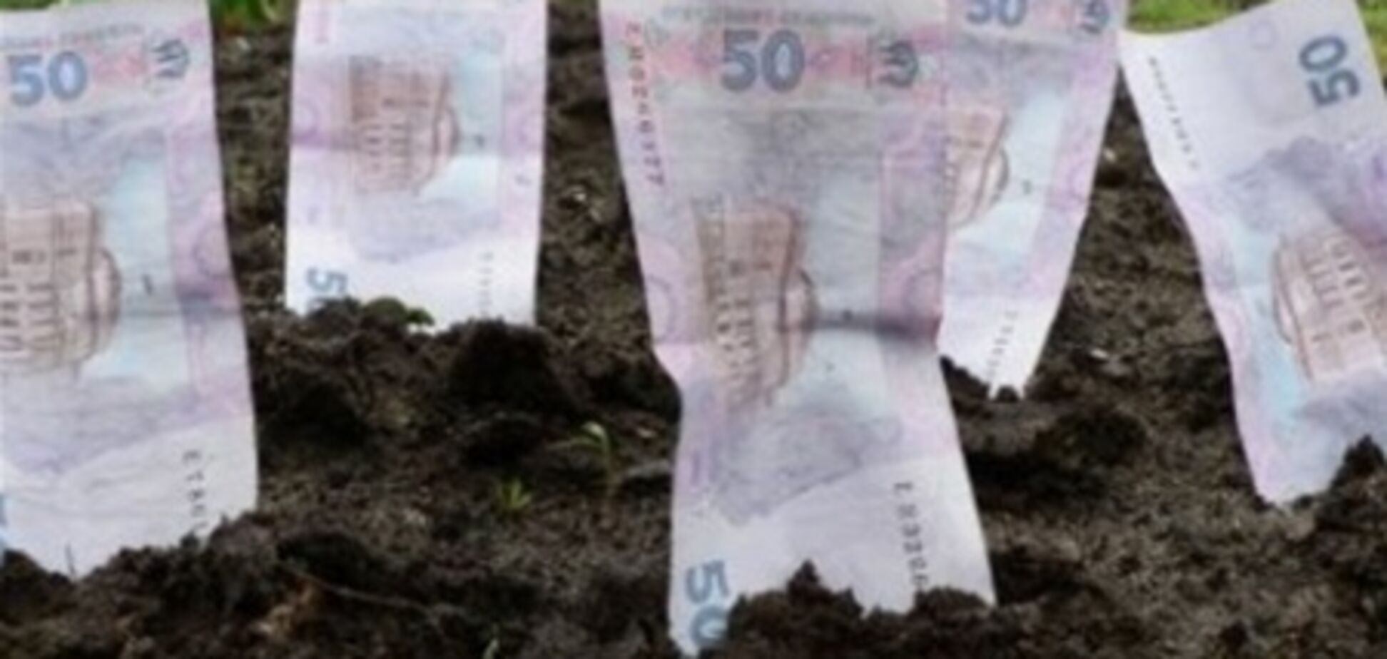 В налоговой рассказали, кто не должен платить налог на землю