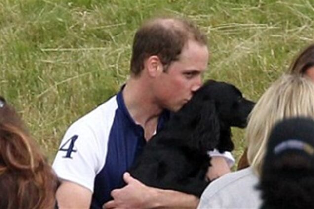Принц Уильям и Кейт тискают своего песика. Фото