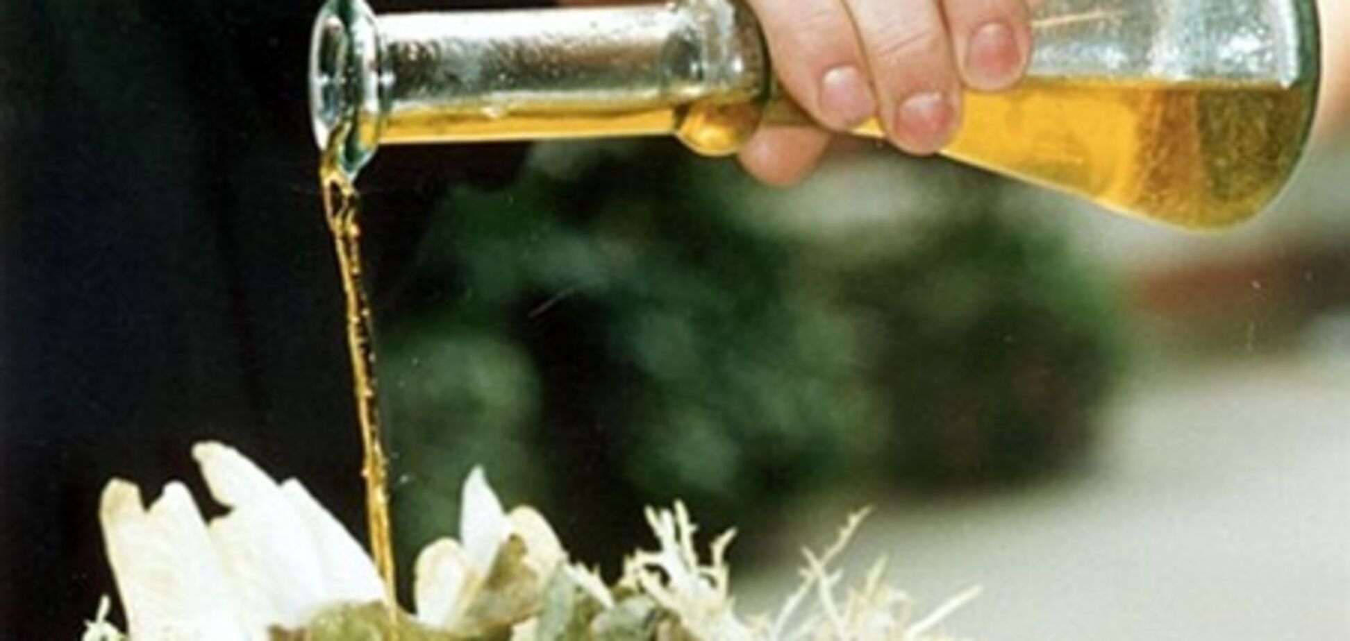 Оливковое масло нужно употреблять каждый день – ученые 