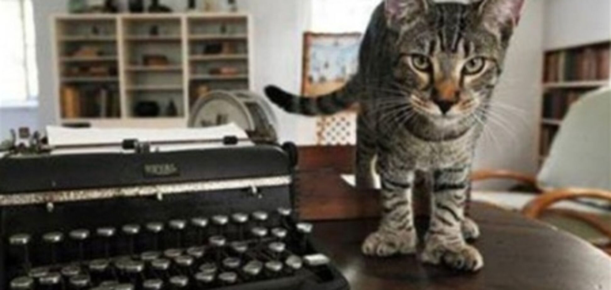 Легендарные коты Хемингуэя