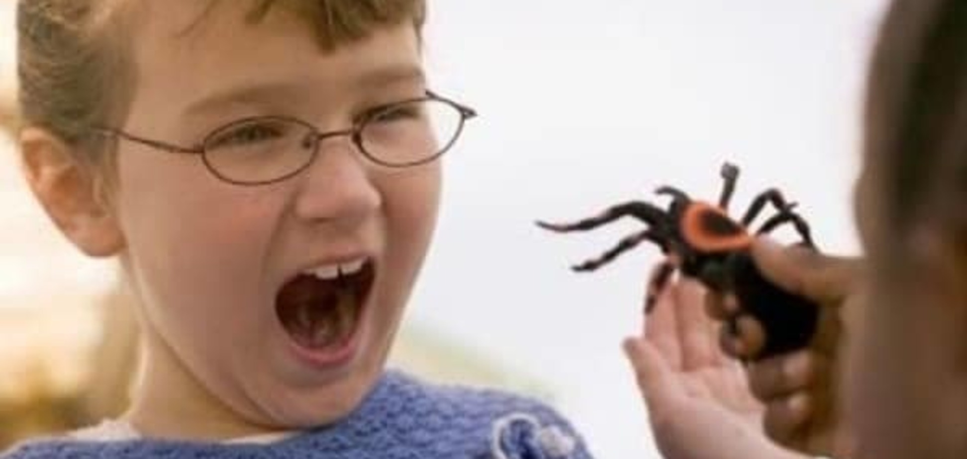 Почему дети боятся насекомых?