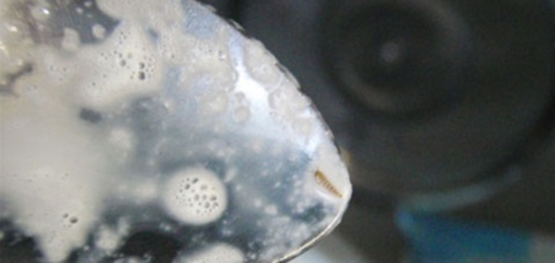 В Крыму женщина купила молоко... с червями