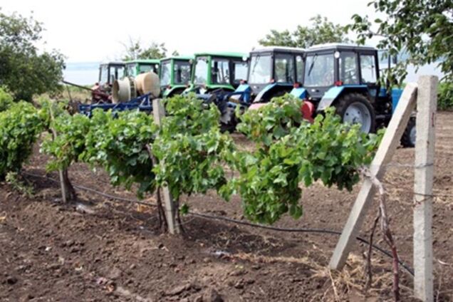 На Одесщине 45 человек отравились пестицидами