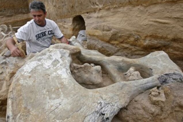 В Сербии обнаружили уникальное кладбище мамонтов