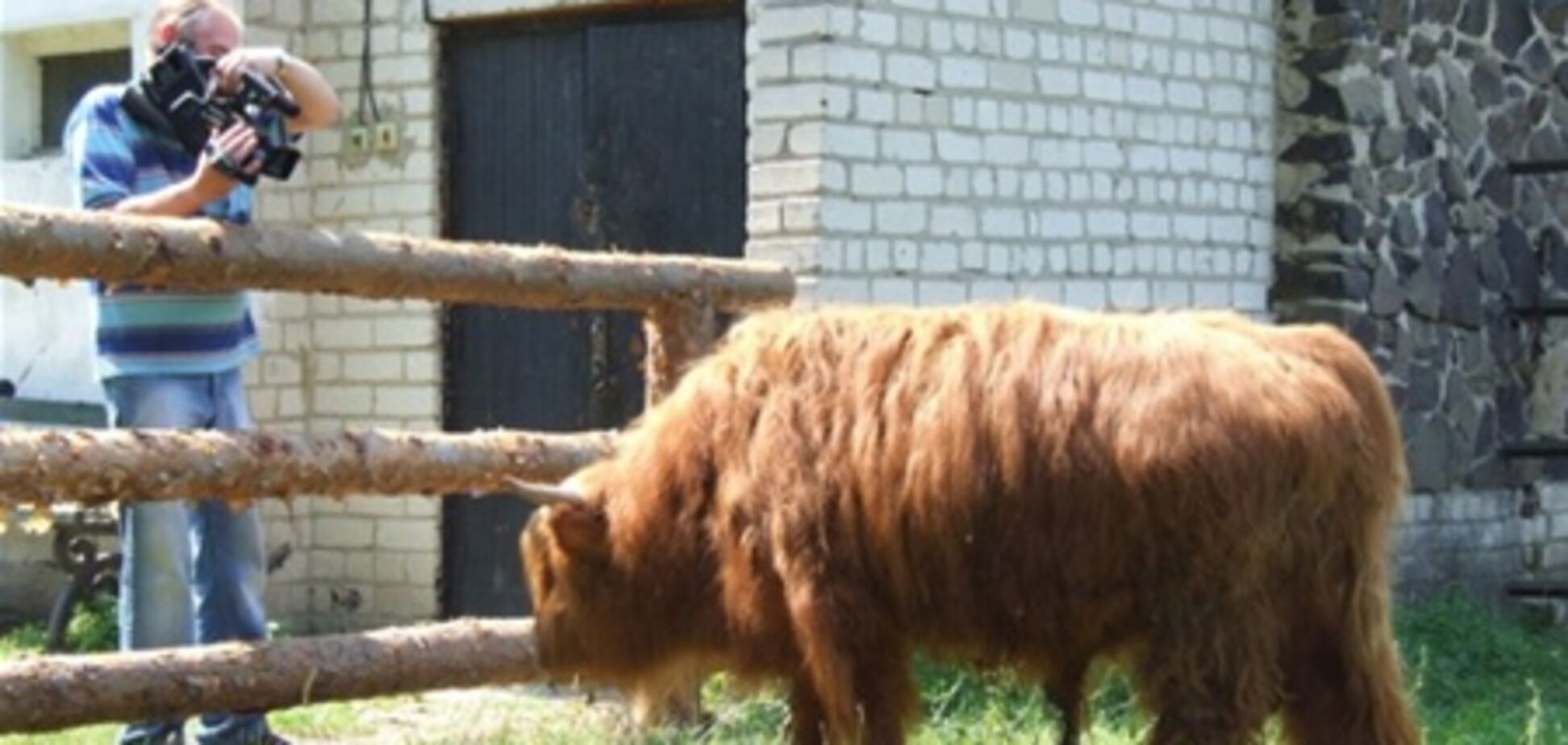 В Ривненском зоопарке поселилось 'быдло скотское'