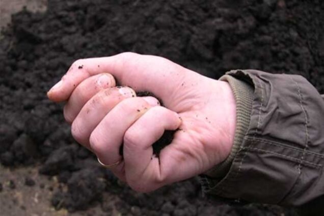 Рада зробила ще один крок до продажу землі