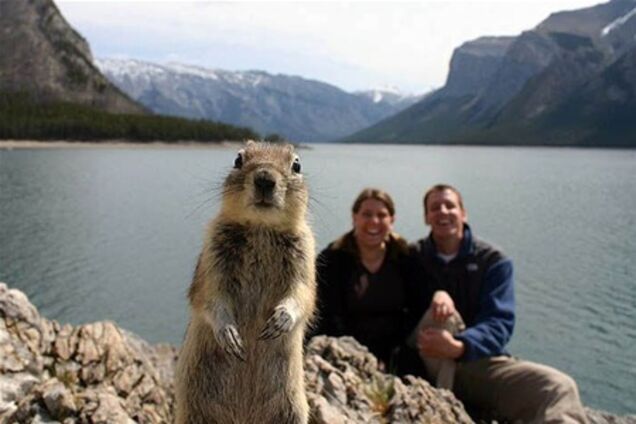 Подловили! Фото людей и животных с удачно пойманным моментом 