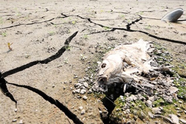 Засуха в Корее высушила 285 водохранилищ