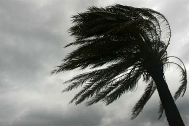 У Мексиканській затоці сформувався тропічний ураган